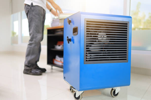 Dehumidification Services in Georgetown, GA